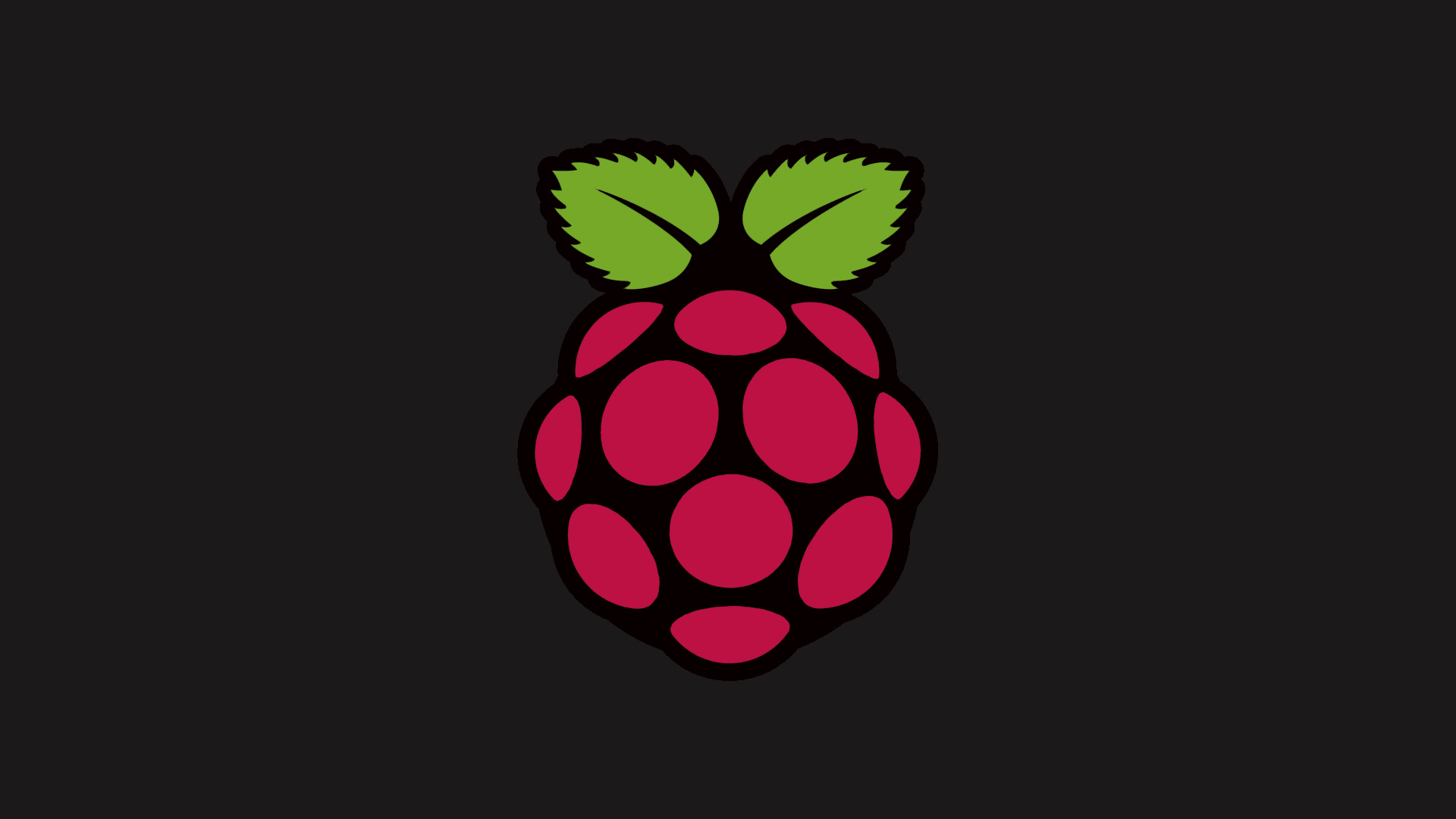 raspberry-pi